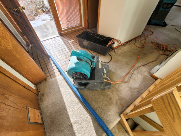 Best Local water damage restoration  in Keller, TX