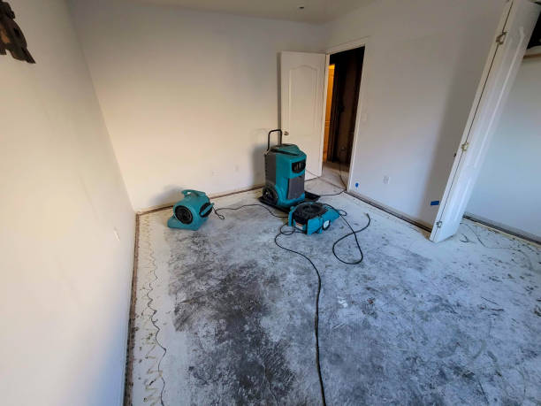 Best Emergency water extraction  in Keller, TX