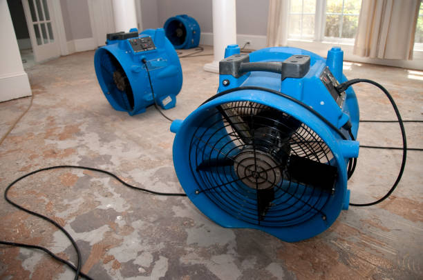 Best Flood restoration services  in Keller, TX
