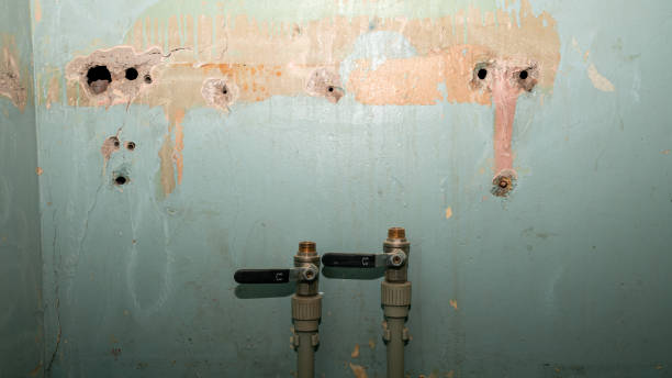 Best Flooded house restoration  in Keller, TX