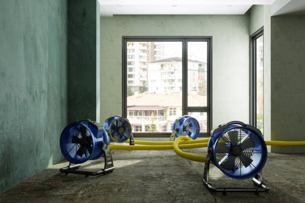 Best Water damage restoration near me  in Keller, TX
