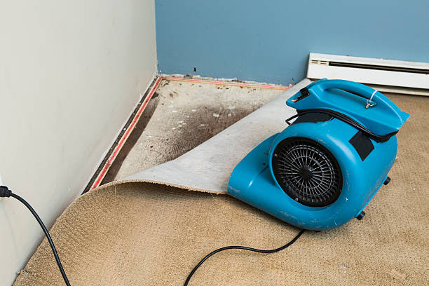Best Residential water damage restoration  in Keller, TX